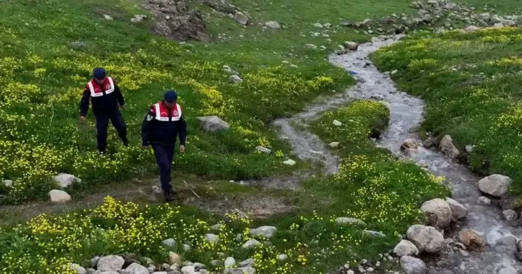 Jandarma burada 7/24 nöbet tutuyor... Doğadaki servet için olağanüstü koruma