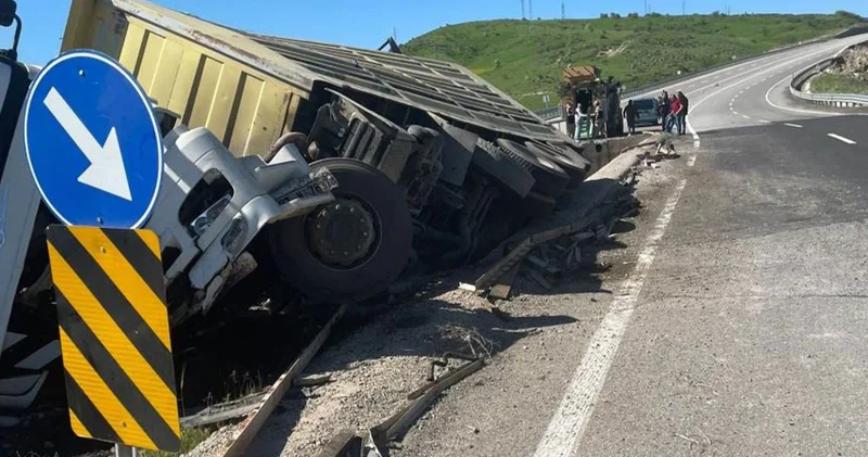 Kurbanlıkları taşıyan tırın devrilmesi sonucu onlarca koyun telef oldu