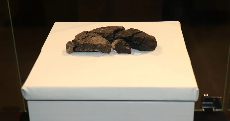 Tam 5 bin yıllık, tarihteki ilk örnek! O ilimizde bulundu