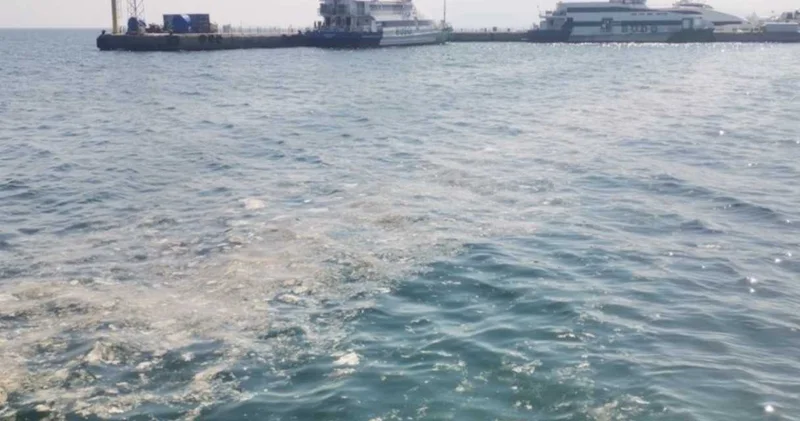 Marmara da müsilaj yine gündemde!