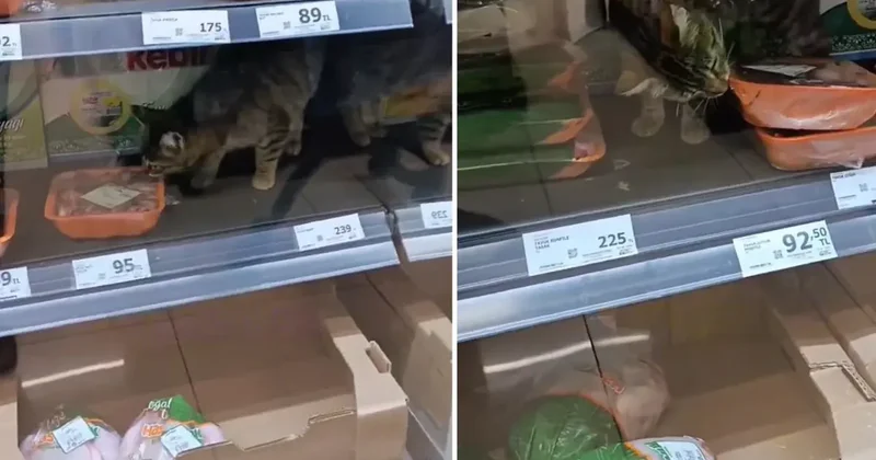 İnsan hayatı bu kadar ucuz mu? Zincir markette çekilen görüntüye bakın