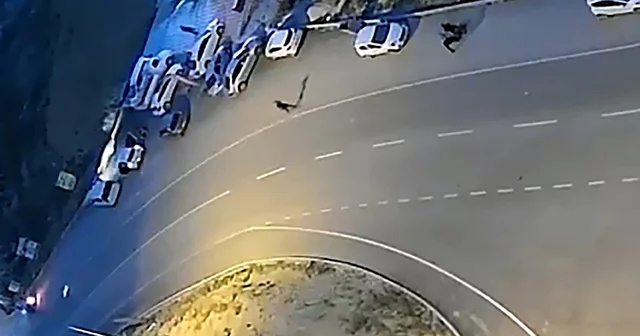 Mezarlıktaki otomobillerden hırsızlık şüphelisine suçüstü; havaya ateş açılarak yakalandı Adana Haberleri