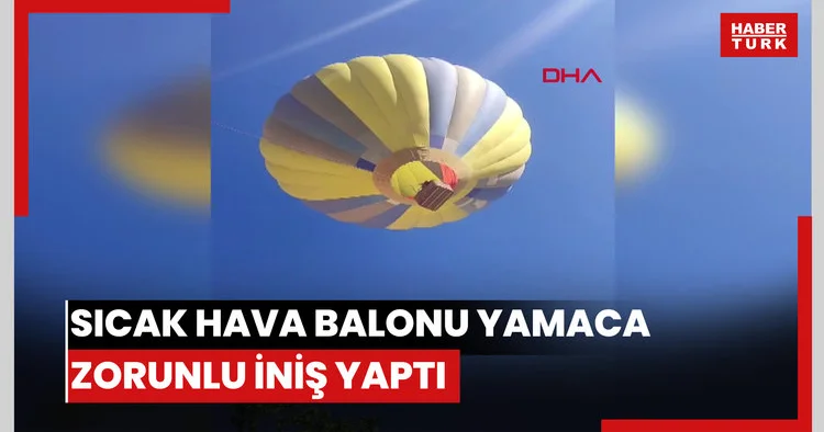 Sıcak hava balonu yamaca zorunlu iniş yaptı