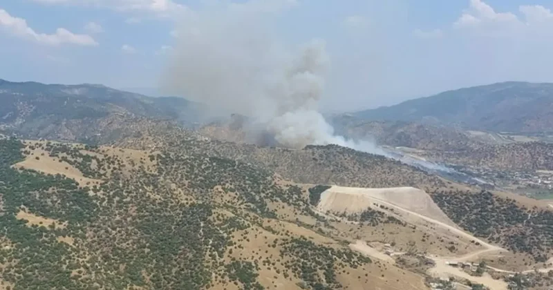 Aydın da orman yangını hızla ilerliyor: Bir mahalle boşaltıldı