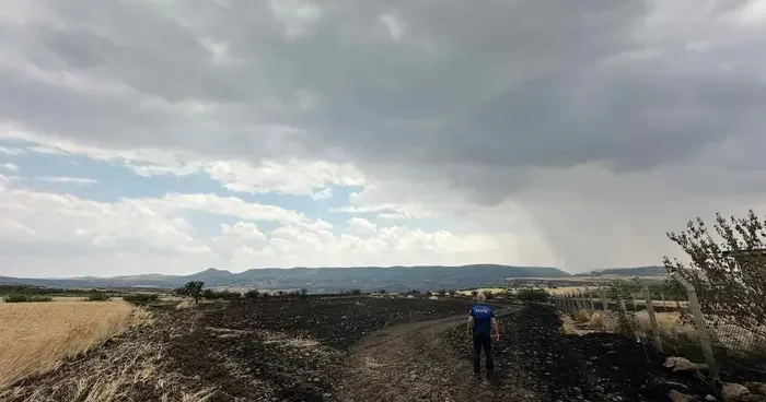 Tavuk çiftliğinde yakılan ateş tarlaya sıçradı! Yaklaşık 20 dönüm ekili alan yandı