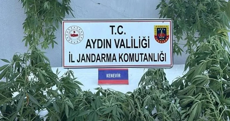 Coğrafi işaret tescilli Konya Tiridi nin tarihi, Selçuklu saraylarına dayanıyor