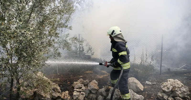 Odunlukta başlayan yangın zeytinliğe sıçradı Sözcü Gazetesi