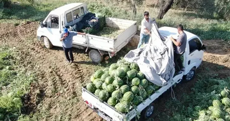 Türkiye nin gözü burada! Karpuz için saatlerce bekliyorlar