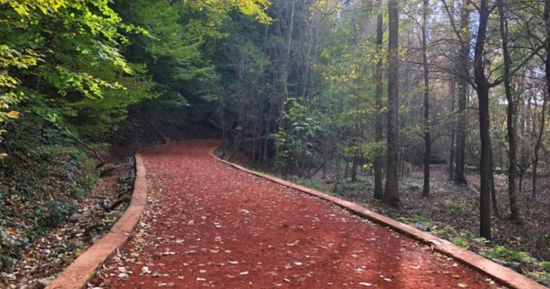İstanbullular dikkat! Yaz boyu bunları yapmak artık yasak