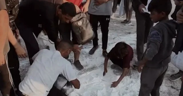Vatan toprağına karışan unla bir lokma ekmek mücadelesi VİDEO İZLE