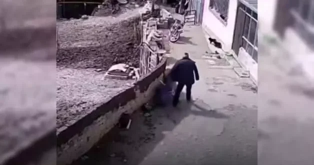 Saldıran sokak köpeğini duvarın arkasına fırlattı