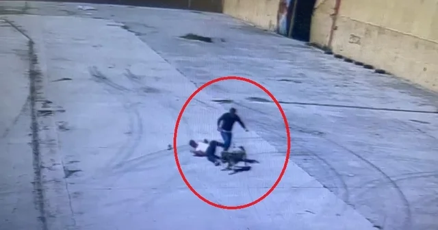 Sokak köpeğinin saldırdığı işçiyi arkadaşı kurtardı; o anlar kamerada Diyarbakır Haberleri