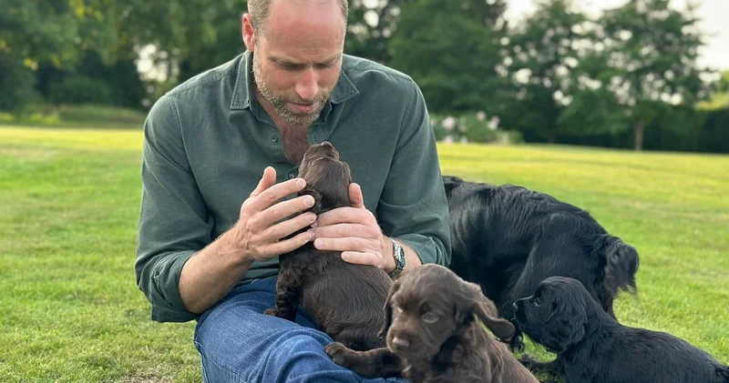 Prens William dan 43 üncü yaş gününe özel köpekli fotoğraf magazin haberleri