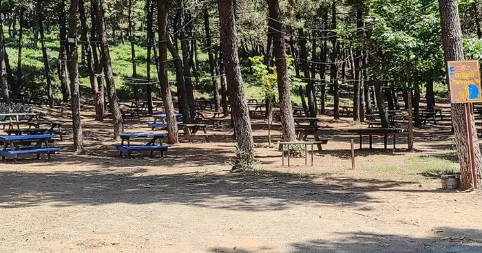 İstanbul Valiliği duyurdu: Orman yangınlarına karşı önlem! O tarihlerde girişler yasak