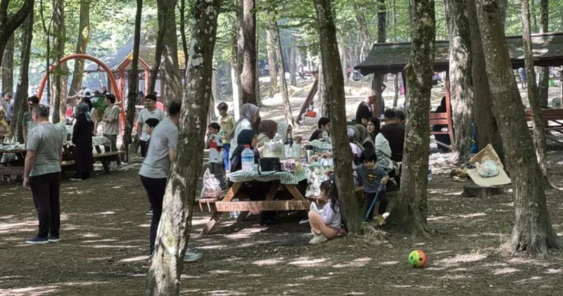 Son dakika: İstanbul da 23 Haziran 15 Ekim tarihleri arasında ormanlara giriş yasağı Son dakika haberleri