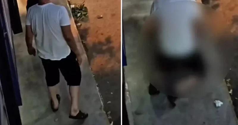 Sokak ortasında köpeğe tecavüz! Mide bulandıran anlar vatandaş kamerasında