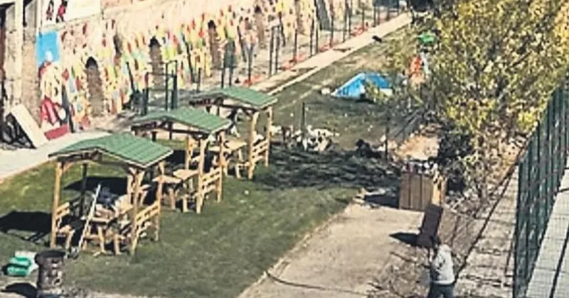 Mama lobisinden 25 milyonluk vurgun