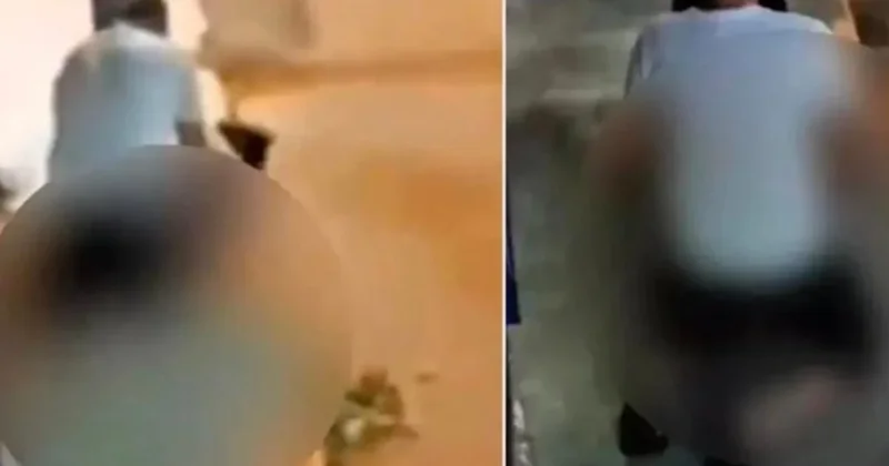 Pendik te mide bulandıran olay! Köpeğe cinsel istismarda bulundu Sözcü Gazetesi