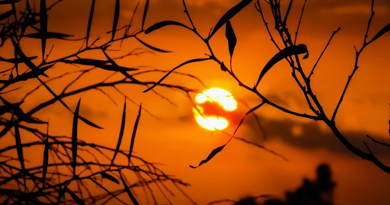 Hava durumu: Adana da hava bugün nasıl olacak?