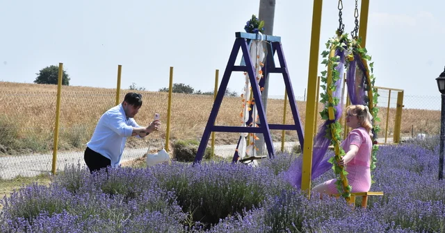 Tekirdağ da lavanta bahçeleri fotoğraf tutkunlarını ağırlıyor Tekirdağ Haberleri
