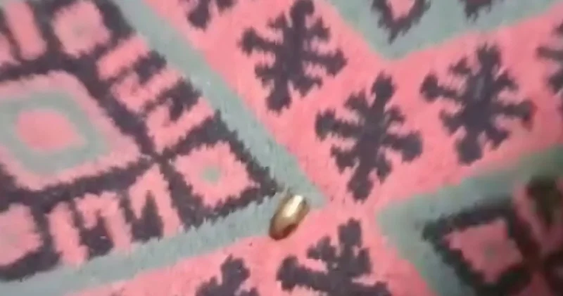 Adana da yorgun mermi, ailenin oturduğu çardağa isabet etti