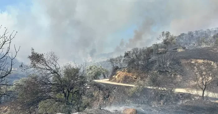 Aydın Efeler’de zirai alanda yangın, bazı evlerde hasar oluştu