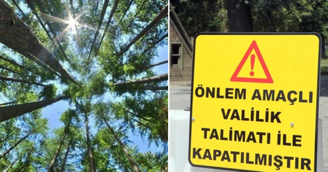 15 Eylül e kadar ormanlara girişler yasaklanacak Erzincan Haberleri