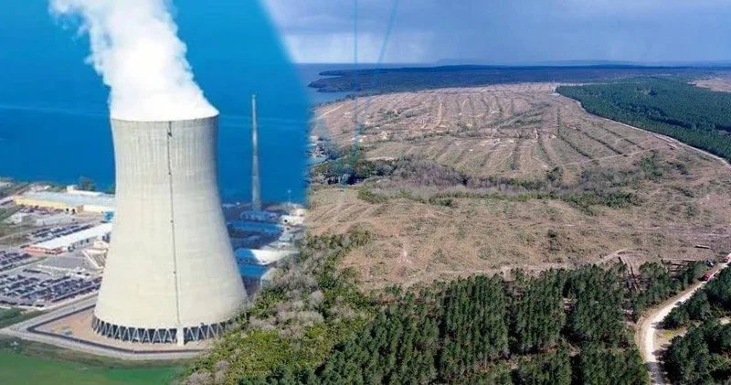 Avukatlardan Sinop Nükleer Santralı’na karşı hamle: Hazırlanan ÇED geçersiz