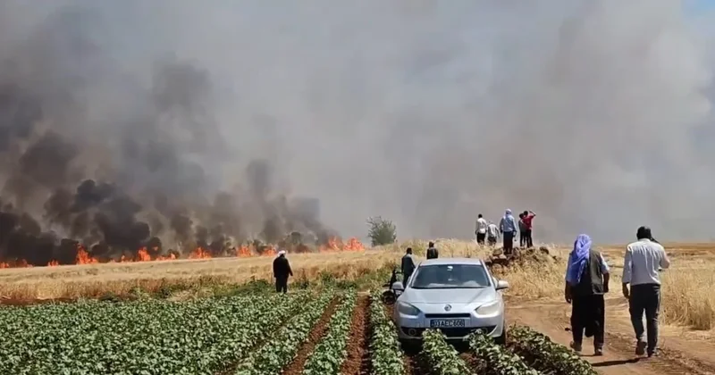 Şanlıurfa da tarla yangını: 1 i ağır 5 kişi yaralandı Sözcü Gazetesi