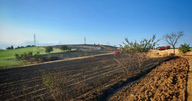 Tekirdağ da buğday tarlası yandı: 200 dekar alan kül oldu Gündem Haberleri