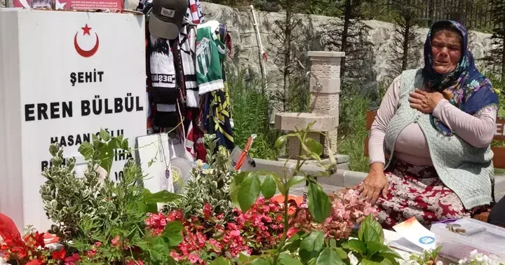 Eren Bülbül annesi Ayşe Bülbül: Barışı savunmayayım da ne yapayım?