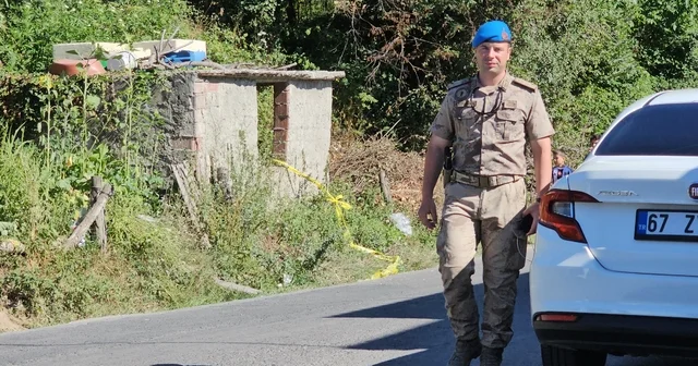 Babaanne ve 2 torununu, kardeşini dövdükleri için bıçaklamış (2) Zonguldak Haberleri
