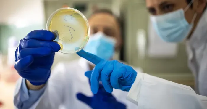 Dünya yeni kıskaçta: Süper böcekler... Antibiyotiğe dirençli, milyonlarca insanı öldürebilir! 2050 ye kadar...