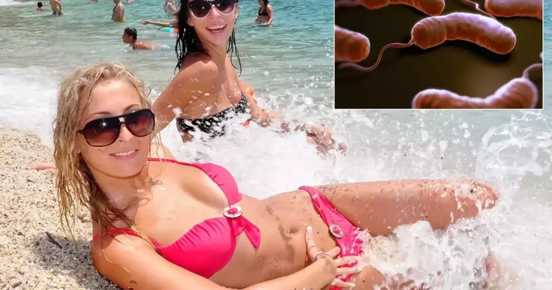 Plajlardaki büyük tehlike! Avrupa dan sonra Türkiye de de görüldü