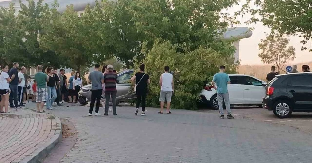 Edirne haberleri: Seyir halindeki ticari araç site bahçesine girdi Edirne Haberleri