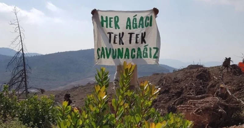 Talan yasası Meclis ten geçti! Köylüler mücadeleyi sürdürecek