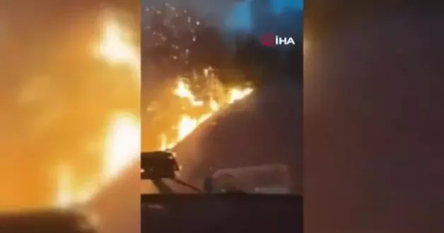 Sakarya daki alevlerle mücadele kamaralara böyle yansıdı