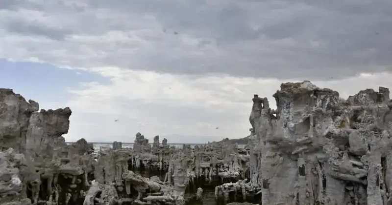 Van Gölü nde keşfedildi! 70 80 metre uzunluğunda