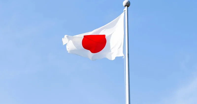 Önce Japonya vizyonunu izleyen Sanseito hareketi 5 yılda YouTube dan meclise yükseldi