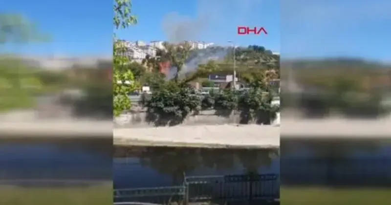 Kağıthane de ağaçlık alanda yangın