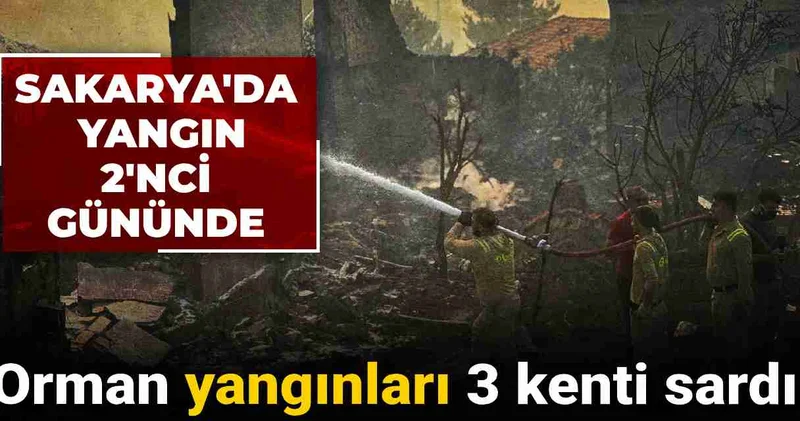 Orman yangınları 3 kenti sardı: Sakarya da yangın 2 nci gününde