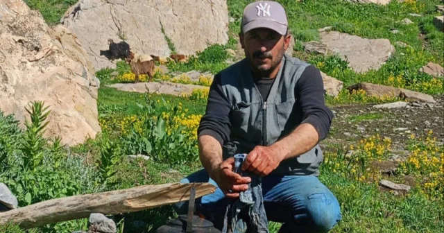 Yaylada koyun otlatırken kalp krizi geçiren çoban hayatını kaybetti Hakkâri Haberleri