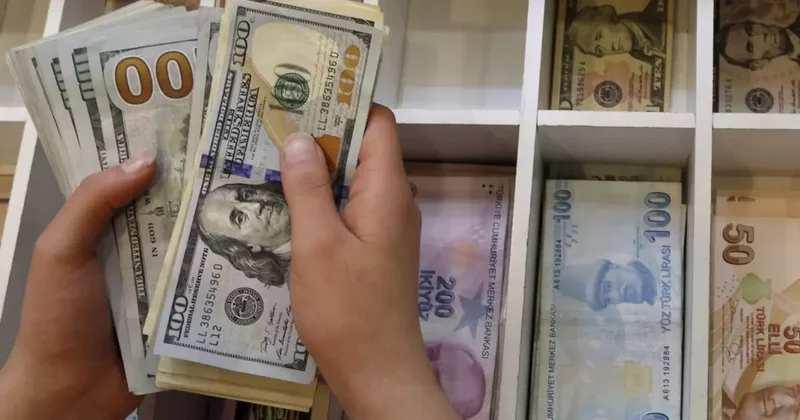 Merakla bekleniyordu! İşte Merkez Bankası nın yıl sonu dolar ve enflasyon tahmini