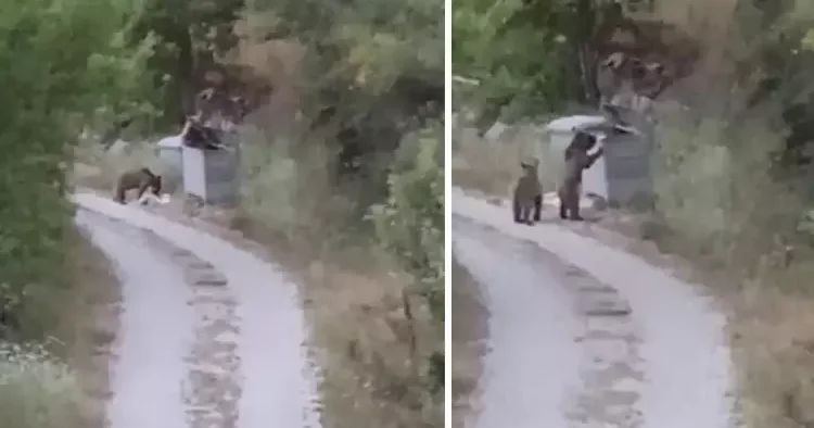 Tokat ta yerleşim yerine indiler Başkası görse kaçar, o ise gülümseyin çekiyorum diye seslendi