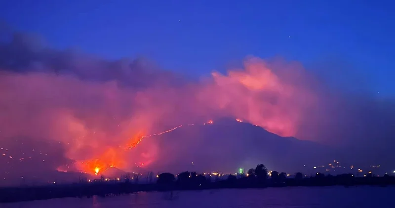 Sakarya alev alev.... Evler alev topuna döndü, iki mahalle tahliye edildi