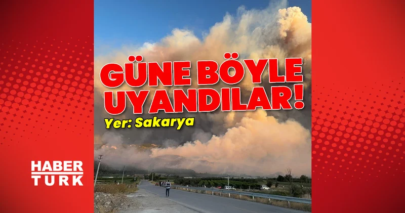 Sakarya da ormanla birlikte evler de yandı! Son dakika haberleri