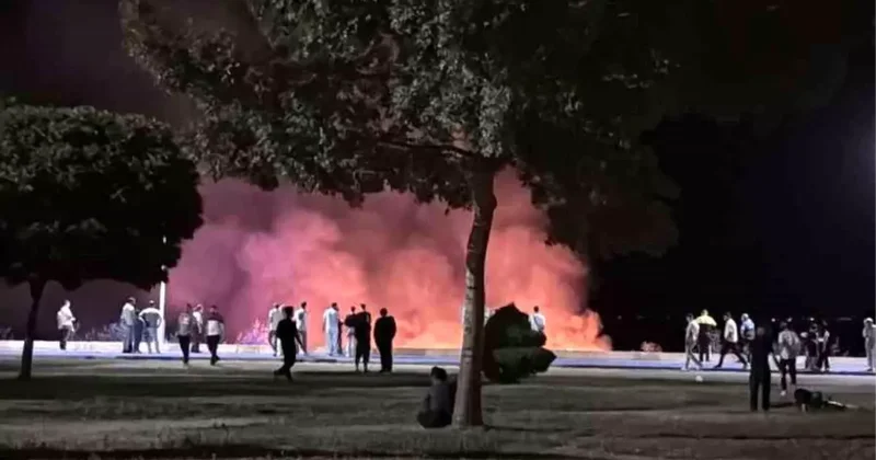 Beyşehir de Sazlıkta Yangın Paniği