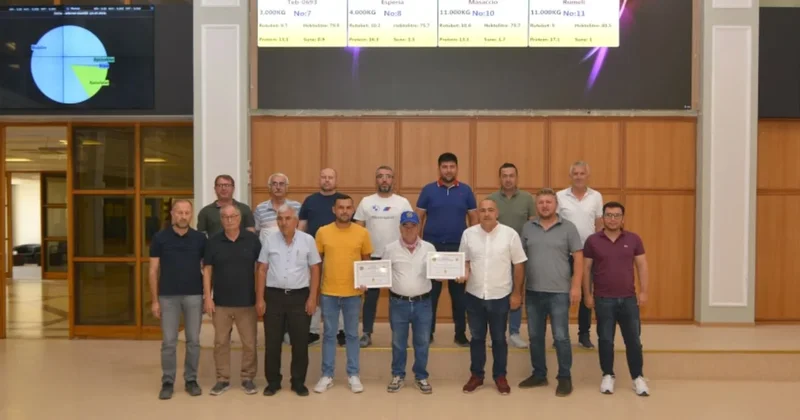 Yılın ilk ayçiçeği 30 liradan satıldı Sözcü Gazetesi