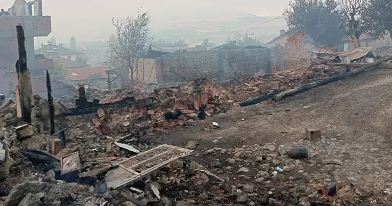 Sakarya da orman yangını 2 nci gününde