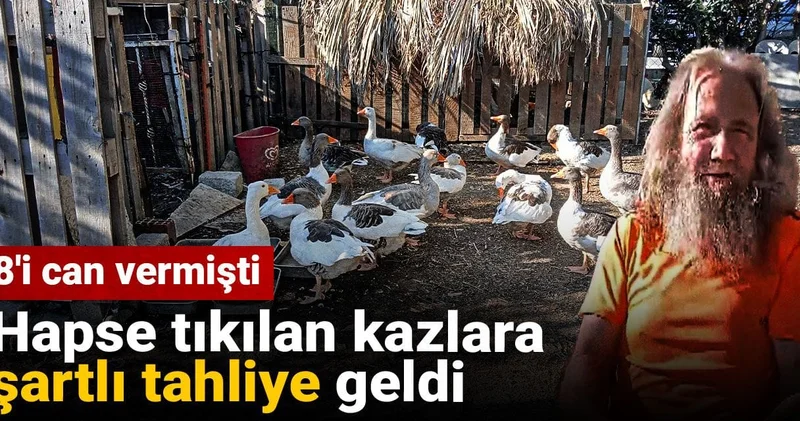 Hapse tıkılan kazlara şartlı tahliye geldi! 8 i can vermişti